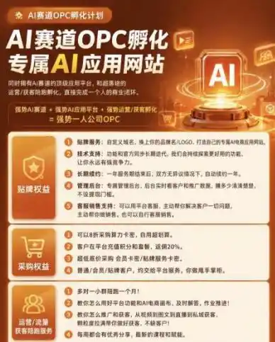 初创源码资源站 首发OPC一人公司项目单日500+手机电脑不限制打造属于自己的品牌画布AI产品收费陪跑揭秘