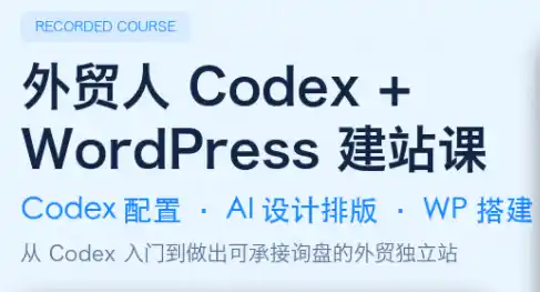 大卫·外贸人Codex + WordPress建站课(更新8月)-初创源码资源站
