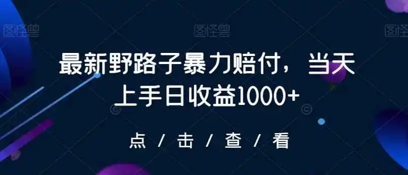 最新野路子暴力赔付，当天上手日收益1000+【仅揭秘】-初创源码资源站
