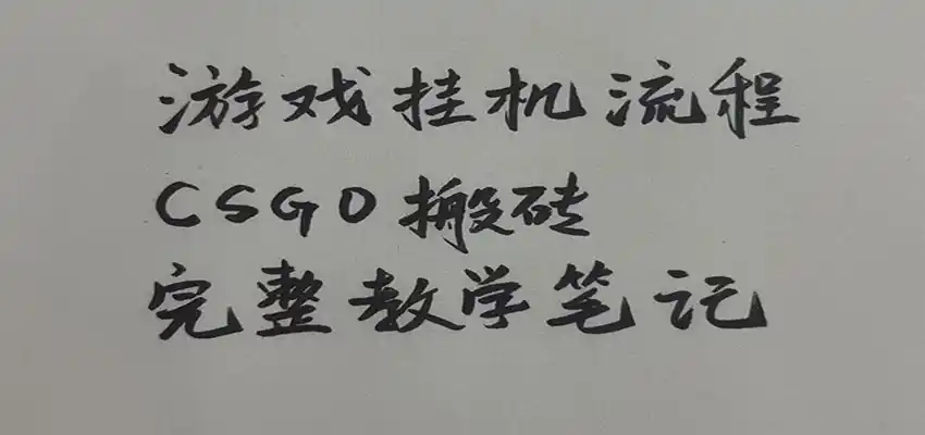 游戏挂机全流程笔记分享，CSGO游戏搬砖，小白看了当天学会见收益-初创源码资源站