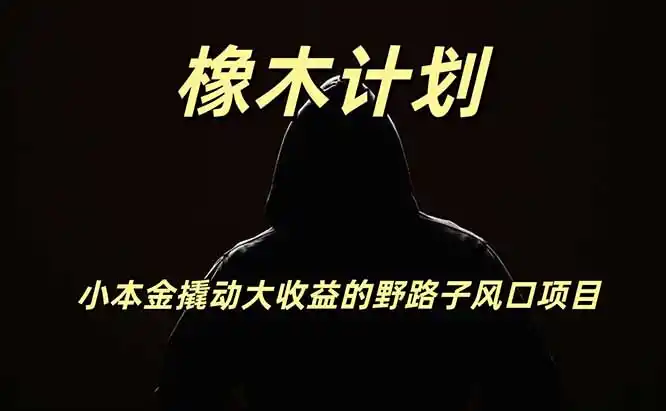 橡木计划，小投入撬动高回报的风口野路子项目，一天投入2小时左右-初创源码资源站