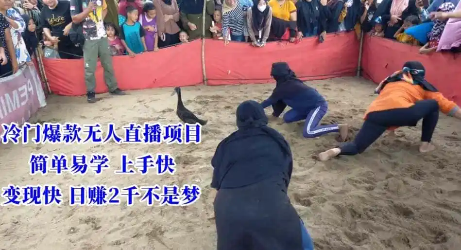 冷门爆款无人直播项目，简单易学上手快，变现快日赚2千不是梦【揭秘】-初创源码资源站