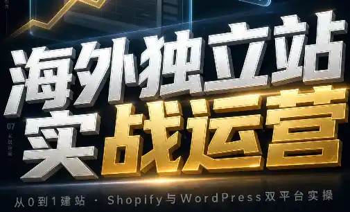 海外独立站实战运营-初创源码资源站